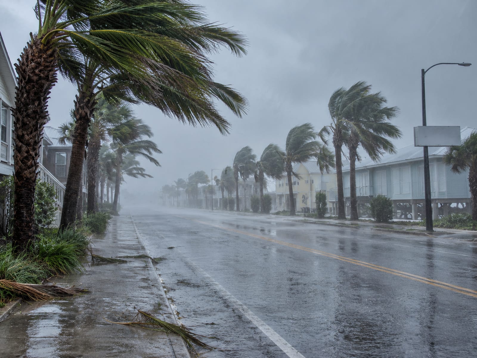Palm trees bending in strong wind along an empty coastal street