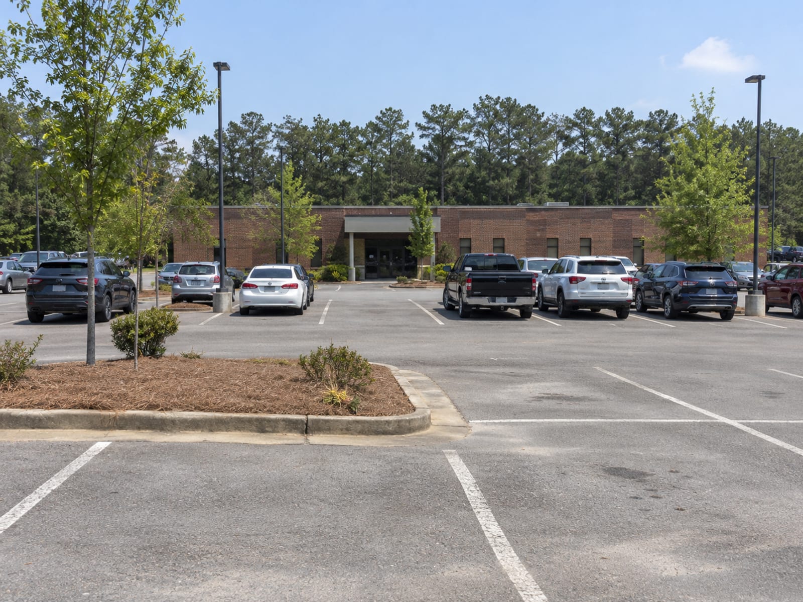 Rows of parked cars in a sunny county office parking lot, seen from a distance with no readable plates