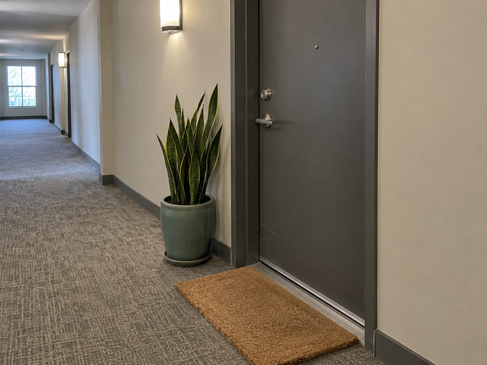 An apartment door with a welcome mat and a potted plant in a quiet hallway