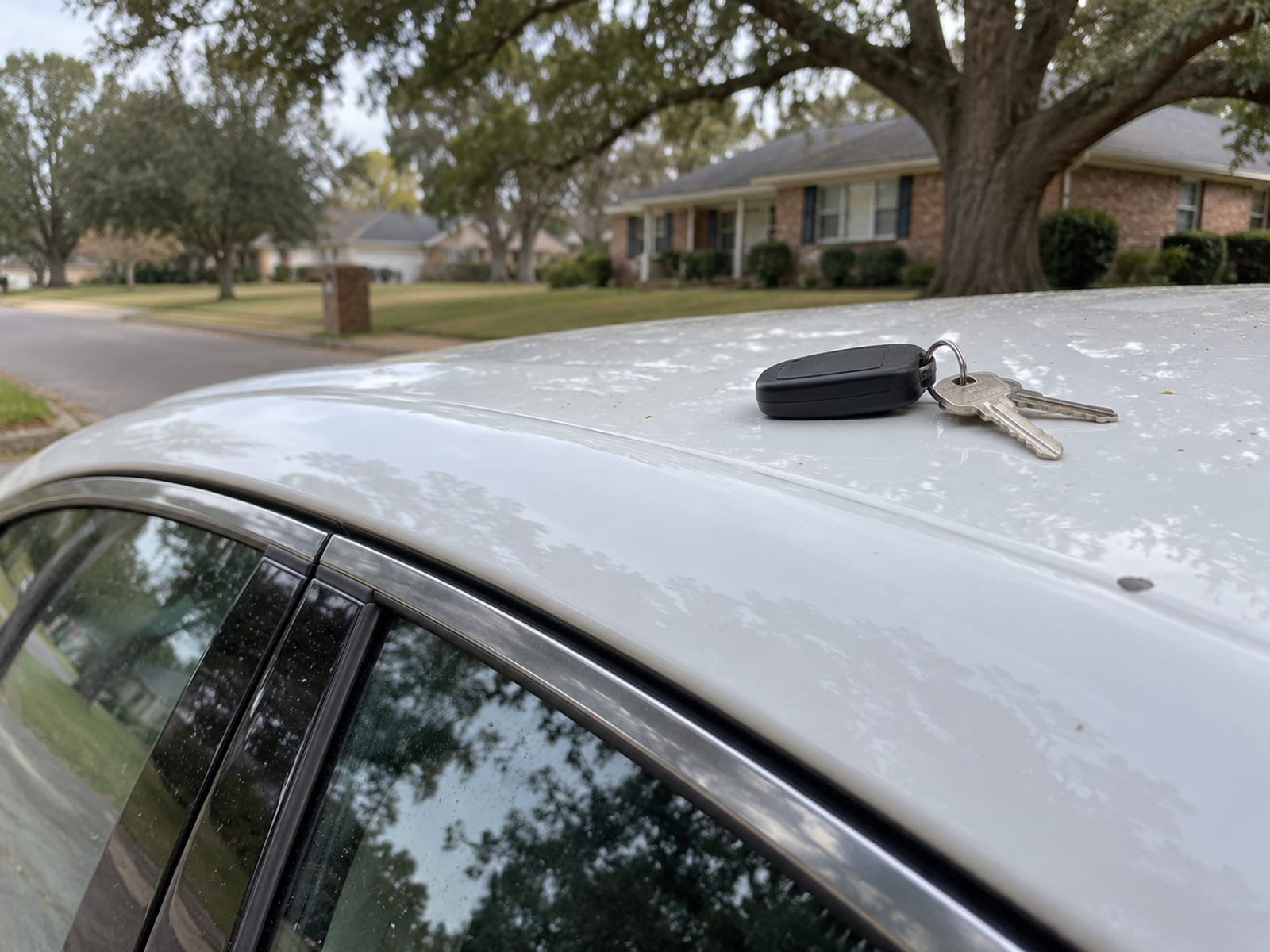 A plain set of car keys resting on the roof of a parked car beside the driver's door
