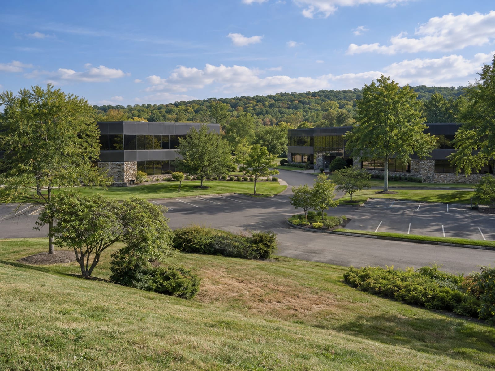 A suburban office park with several low glass office buildings and a parking area with lawns and trees on a clear day
