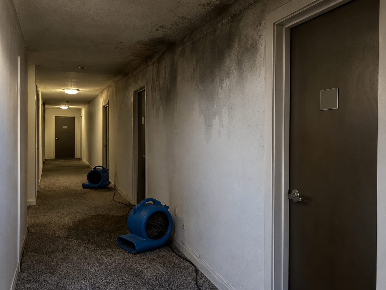 A smoke-stained apartment hallway with an open door and fans drying the floor