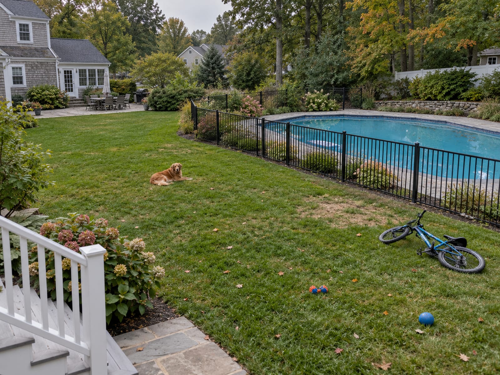 A backyard with a swimming pool, a dog on the lawn and a bicycle leaning on the fence