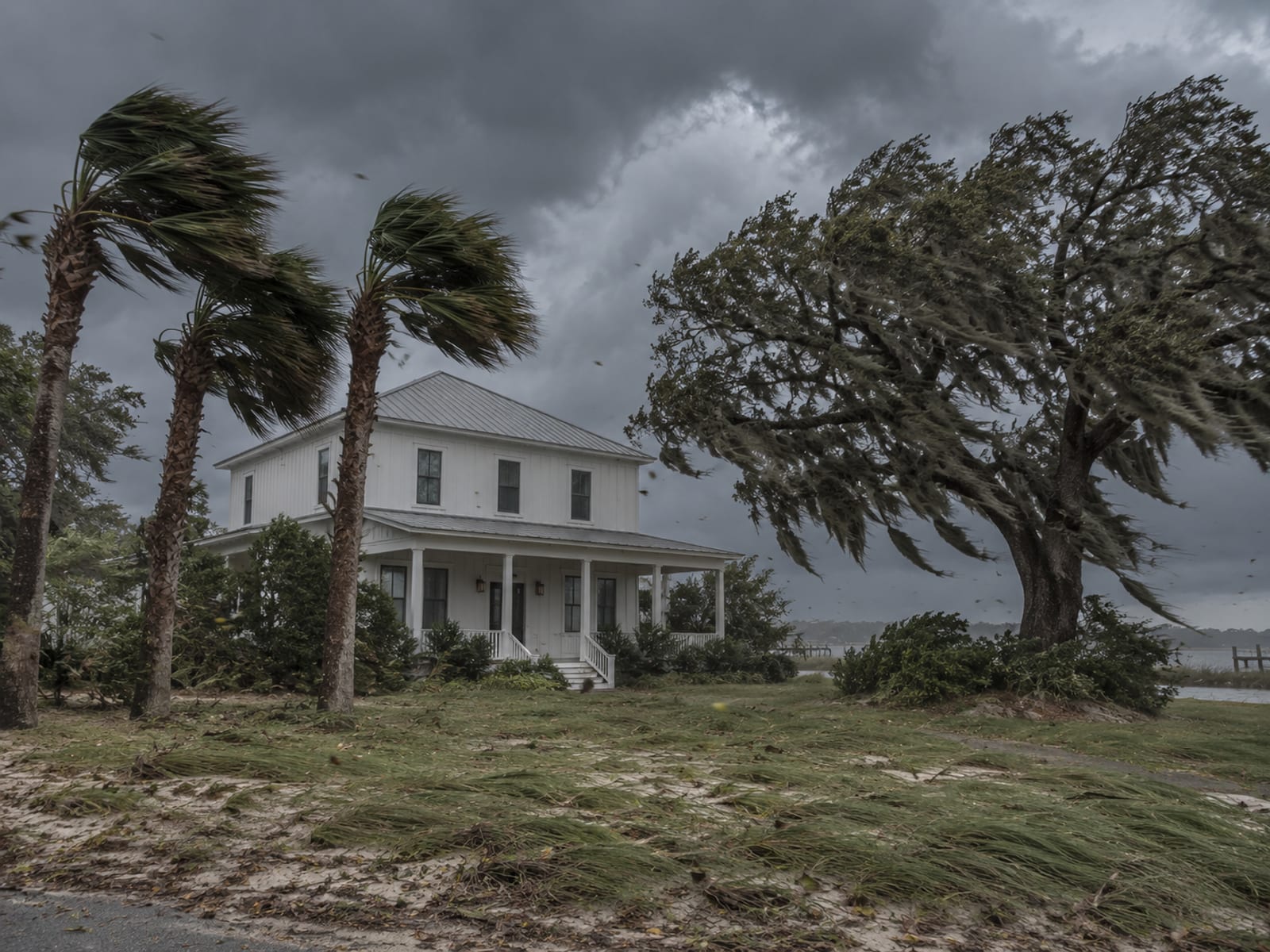 Palm trees and live oaks bending in strong wind beside a coastal house