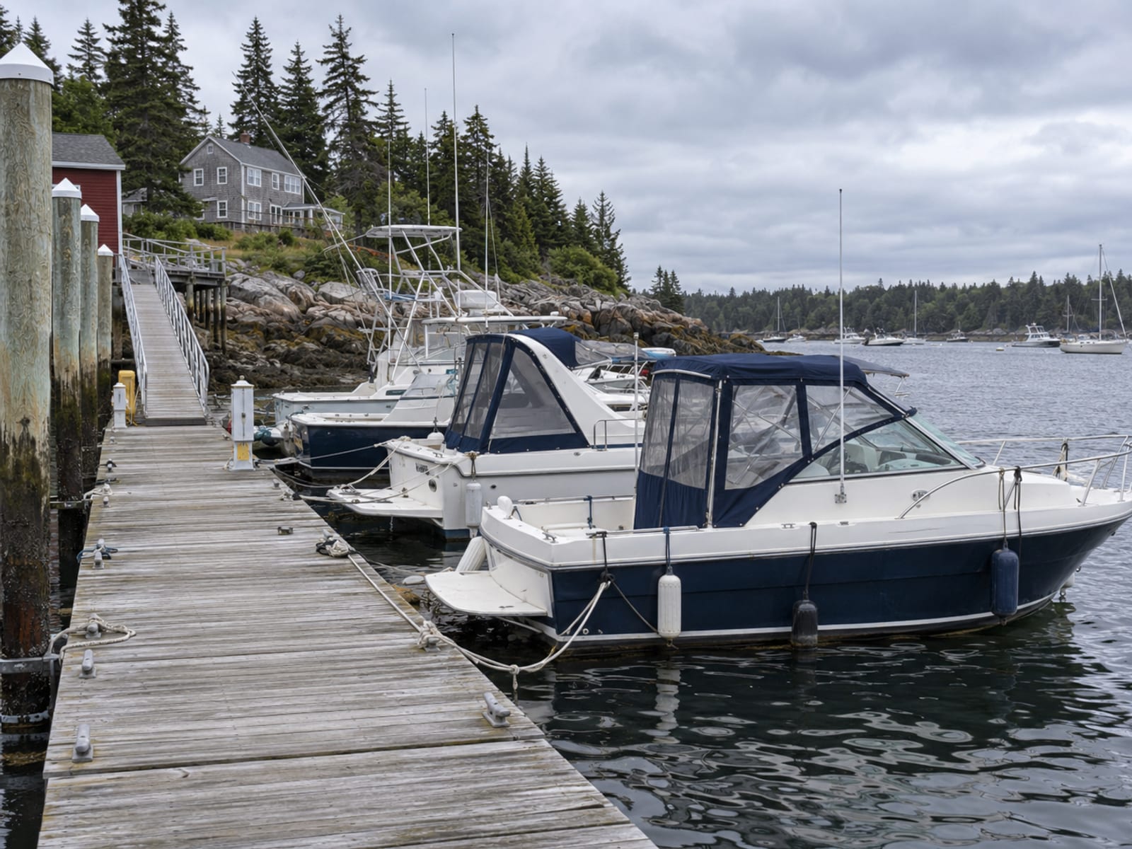 Several pleasure boats tied up along the floating docks of a small coastal marina