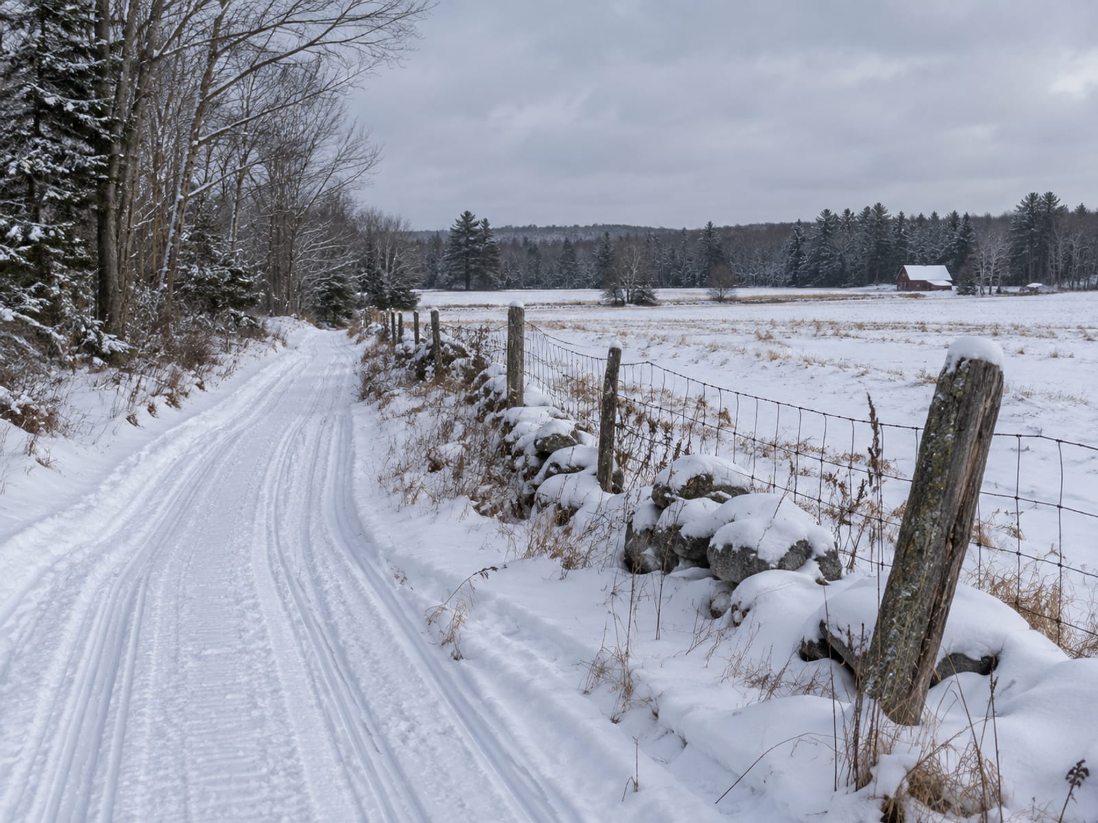 A snowmobile trail running along the edge of a snowy farm field beside a split-rail fence and a stand of trees