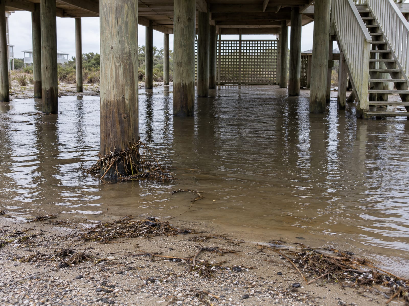 Standing water around the pilings of a raised coastal house after a storm