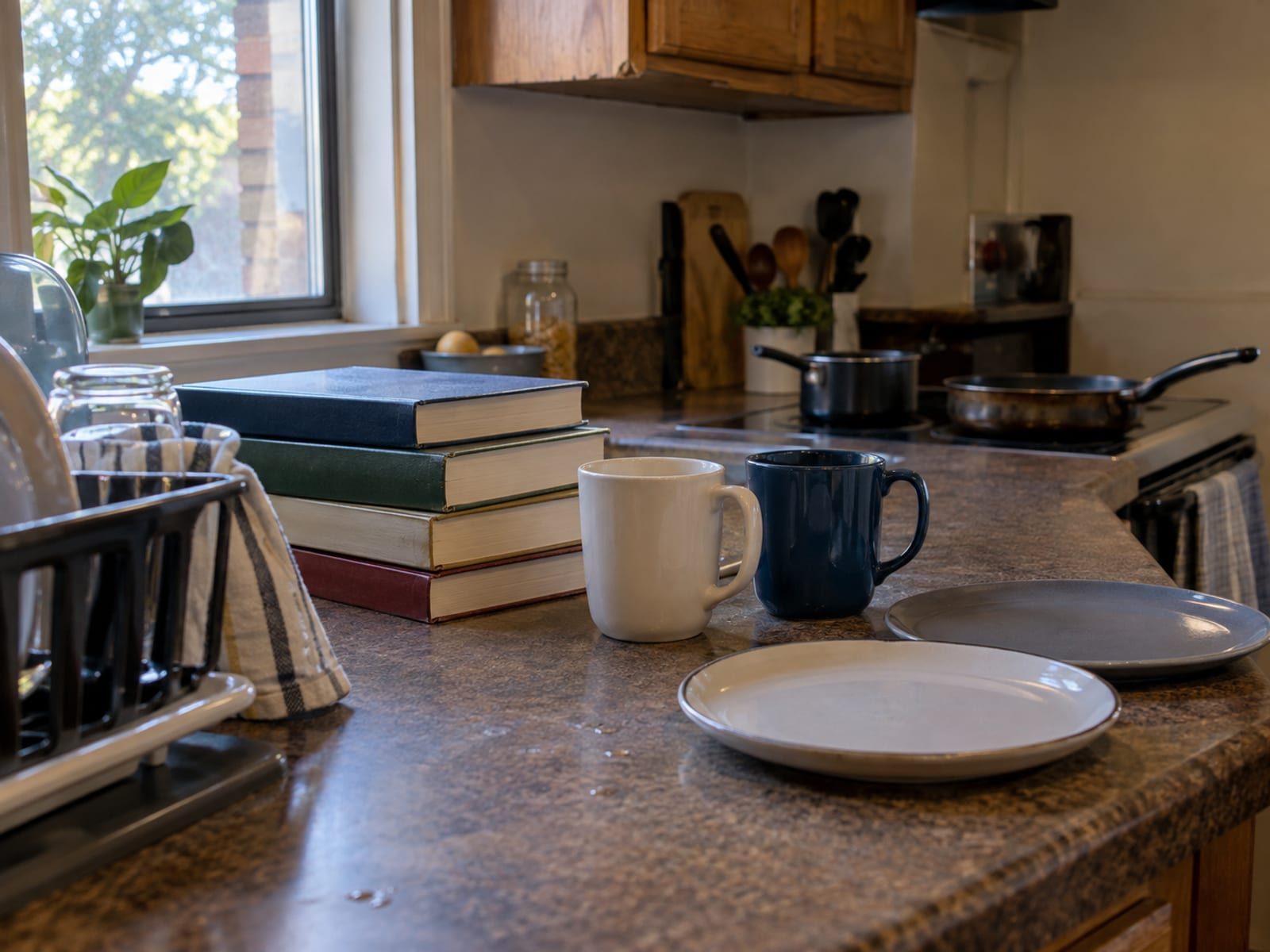 A shared student apartment kitchen with two sets of mugs and textbooks stacked on the counter
