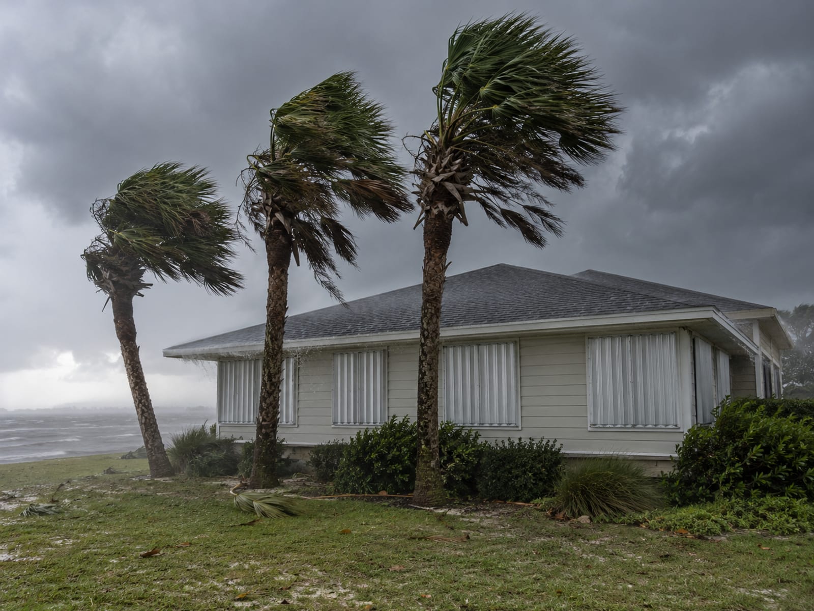 Palm trees bending in strong wind beside a coastal house with closed storm shutters