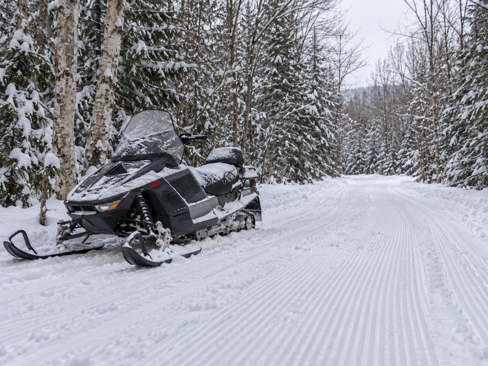 A snowmobile parked at the edge of a groomed forest trail after fresh snowfall